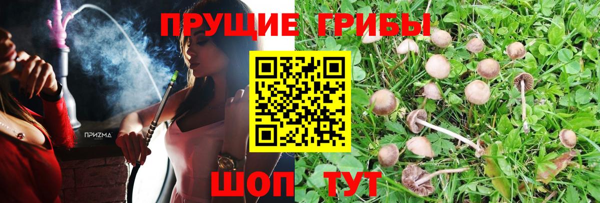Псилоцибиновые грибы мухоморы Санкт-Петербург